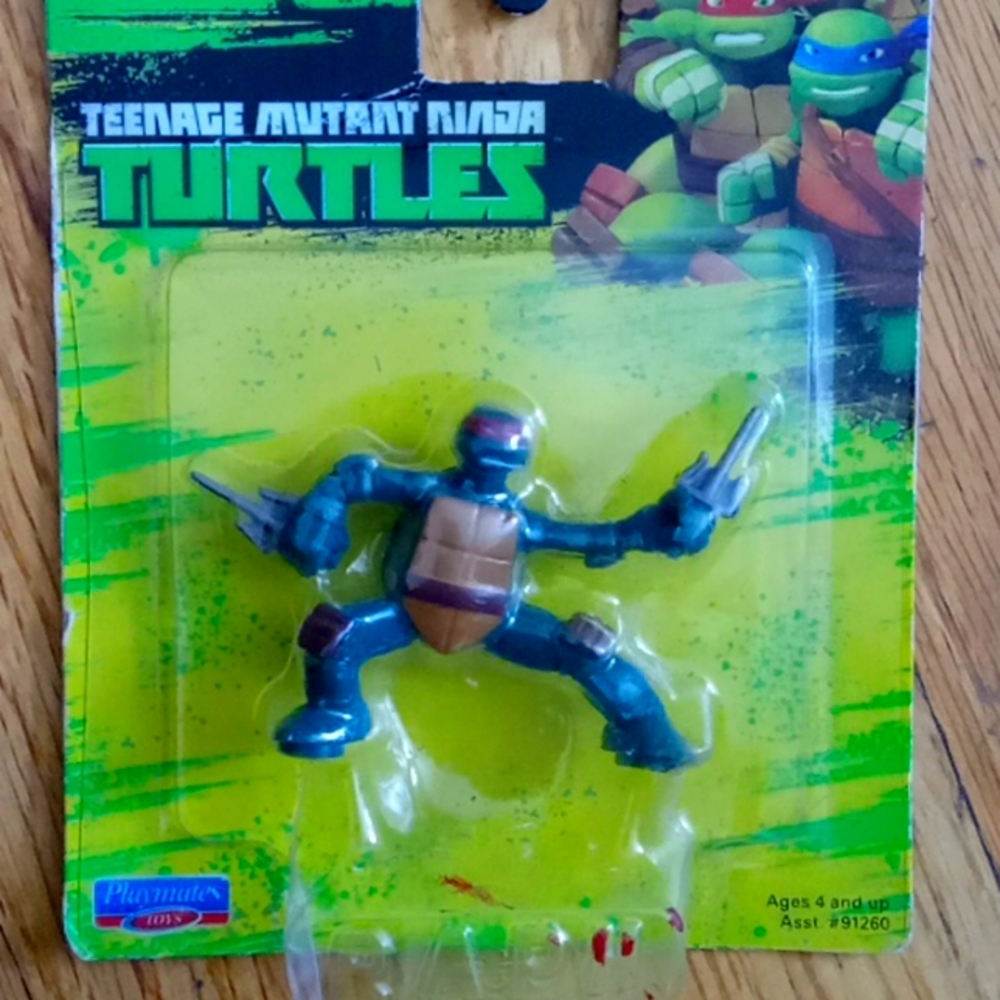 2019 Ninja Turtle
